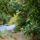 Illustration for article titled Fall Photos 2